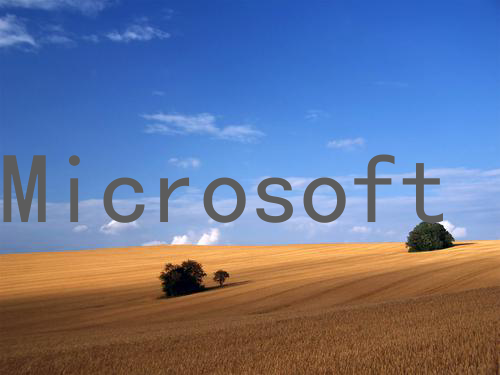Microsoft Edge 分屏 推荐