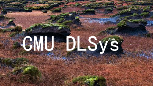 CMU DLSys 课程笔记 1 - Introduction and Logistics
