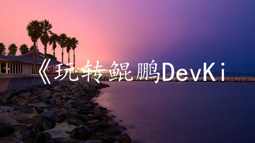 《玩转鲲鹏DevKit系列》第四期：如何基于鲲鹏平台高效开发？